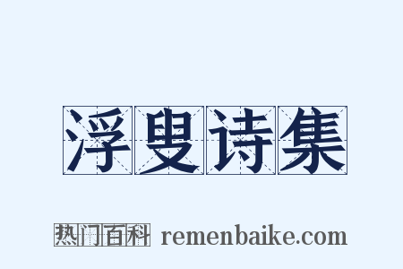 浮叟诗集是什么意思的图片